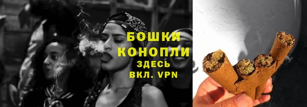 ALPHA PVP Няндома
