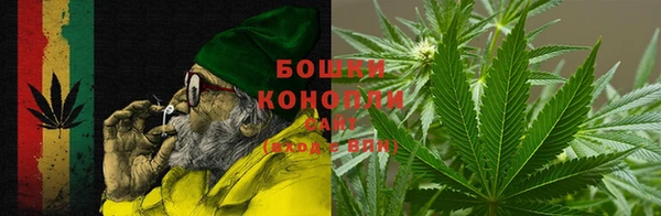 ALPHA PVP Няндома