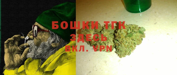 ALPHA PVP Няндома