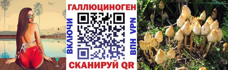 как найти закладки  Бирюсинск  Галлюциногенные грибы GOLDEN TEACHER 
